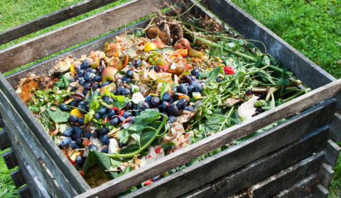 California is trading food landfills for composted green energy