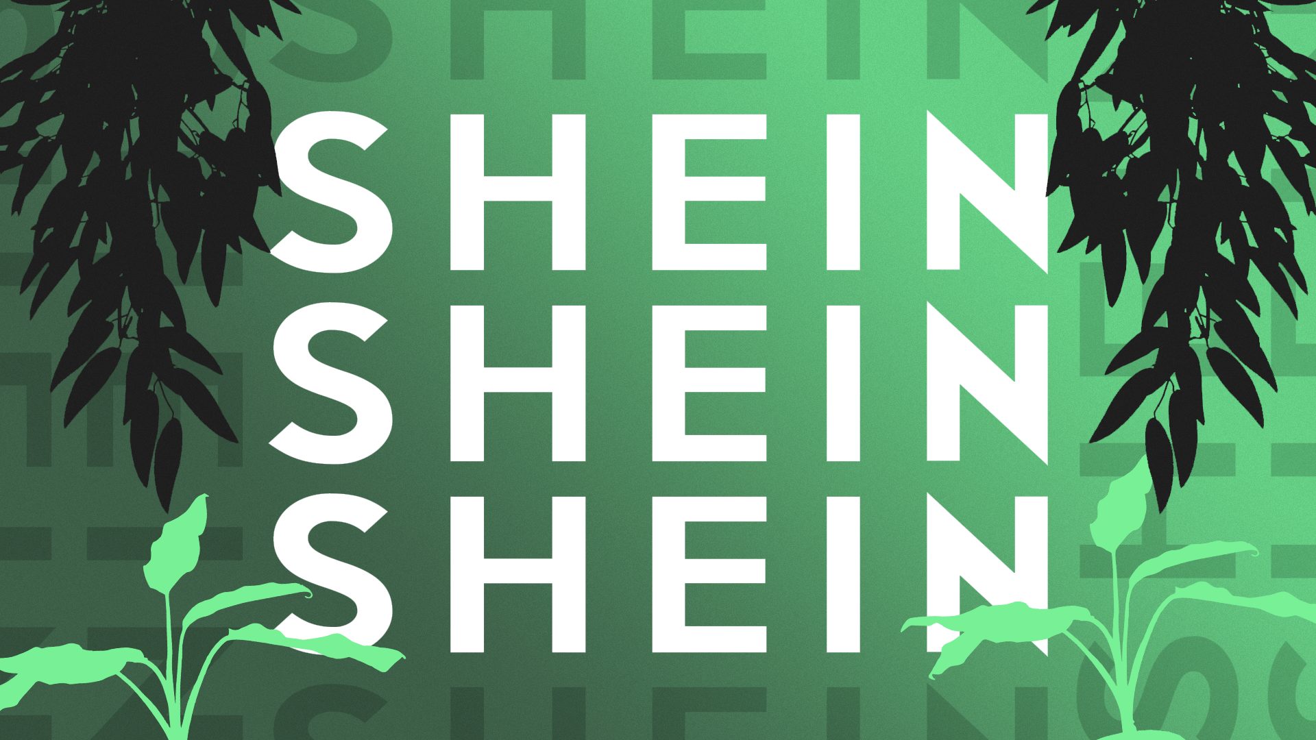 Fast fashion brand SHEIN appears to be greenwashing - Thred Website