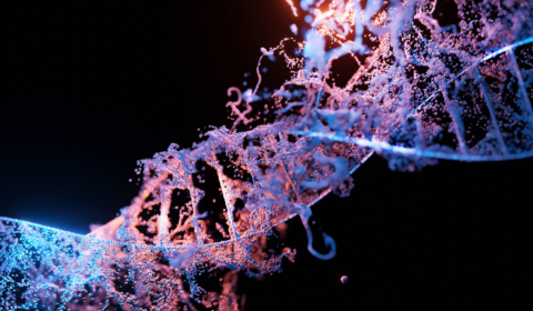 Is the gene-editing technology CRISPR a good idea?