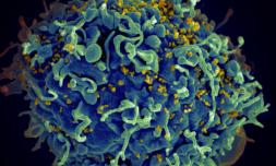 Scientists may have just discovered a breakthrough treatment for HIV