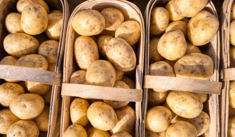 Is potato milk the future of sustainable dairy alternatives?