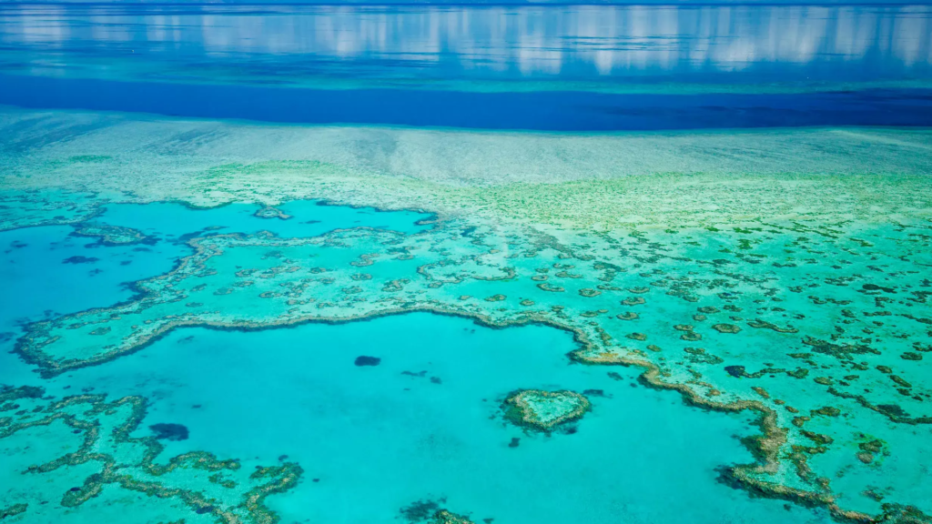 The Great Barrier Reef experiences sixth mass bleaching event - Thred ...