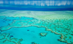 The Great Barrier Reef experiences sixth mass bleaching event