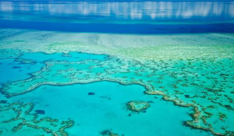 The Great Barrier Reef experiences sixth mass bleaching event