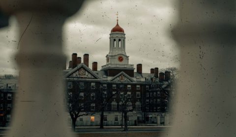 Will universities take responsibility for sexual violence on campus after Harvard lawsuit?
