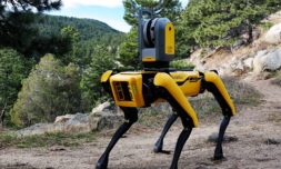 This robot dog will help identify safety issues in Pompeii