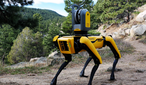 This robot dog will help identify safety issues in Pompeii