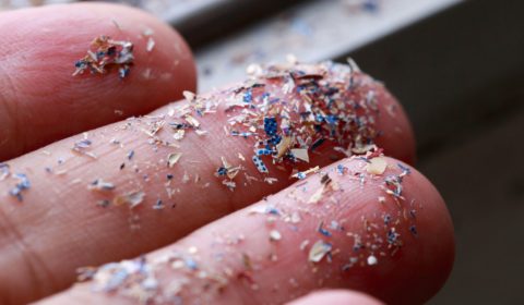 Tiny particles of plastic have been found in human blood