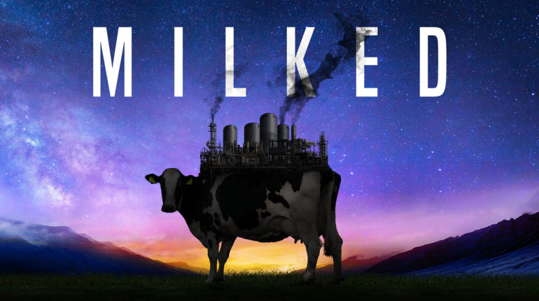 Milked is a tea-spitting look at dairy’s dark reality