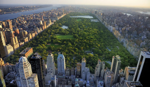 New York’s Central Park to become a climate laboratory