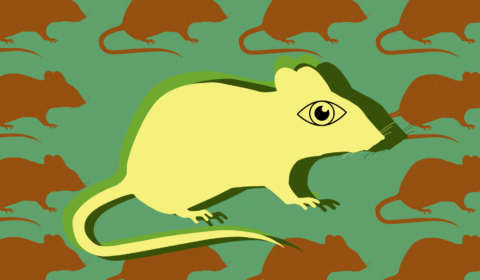 Feral girl summer proves we’re officially in our unhinged era Feral girl summer proves we’re officially in our unhinged era