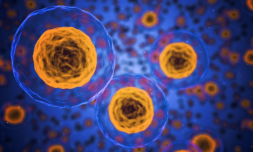 Scientists make woman’s skin cells act thirty years younger