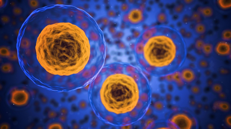 Scientists make woman’s skin cells act thirty years younger