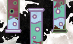 The start-up creating animal-free dairy from cow cells