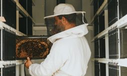 Robot beekeepers could help pollinators prosper in a warming world
