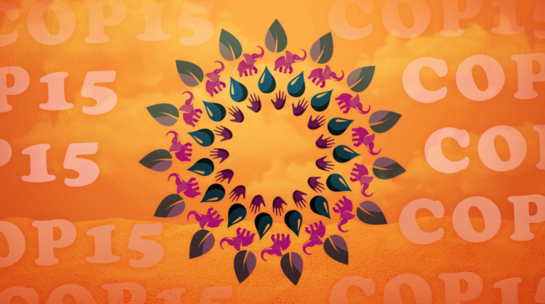 What is the COP15 conference and what does it hope to achieve?