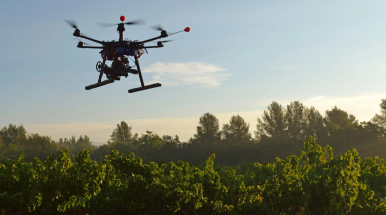 Seed-firing drones are now reversing deforestation