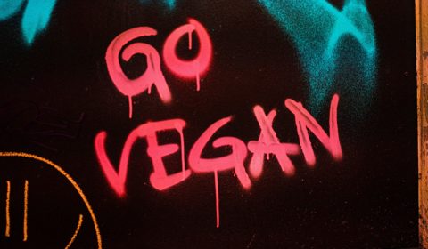 Can veganism really save the planet?