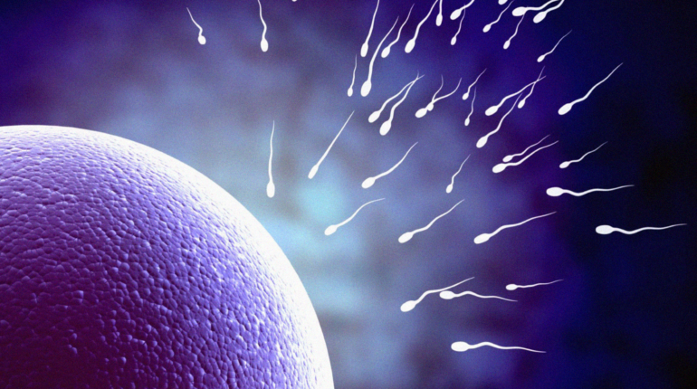 Will ‘forever chemicals’ hinder human reproductive ability?