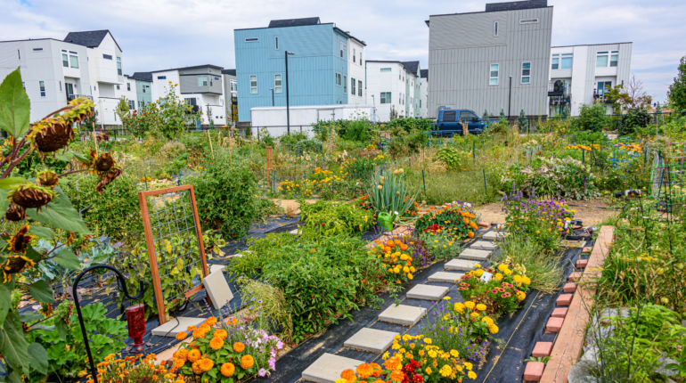 Is reverting back to basics inevitable to save our planet?