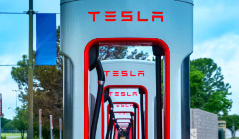 Climate NGOs plea for Tesla to pull out of Indonesia nickel drive