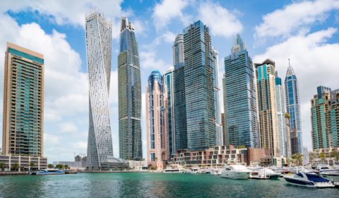 Dubai builds world’s largest vertical farm