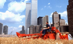 Why did Agnes Denes grow a field of wheat in New York?
