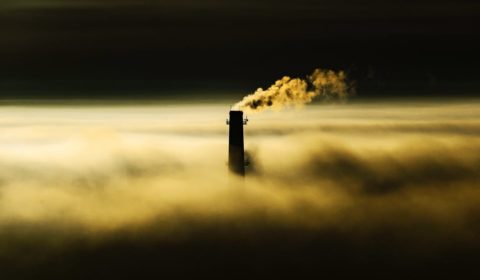 Supreme Court limits the E.P.A’s power to control pollution