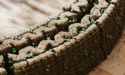 3D printers are being used to create living dirt structures