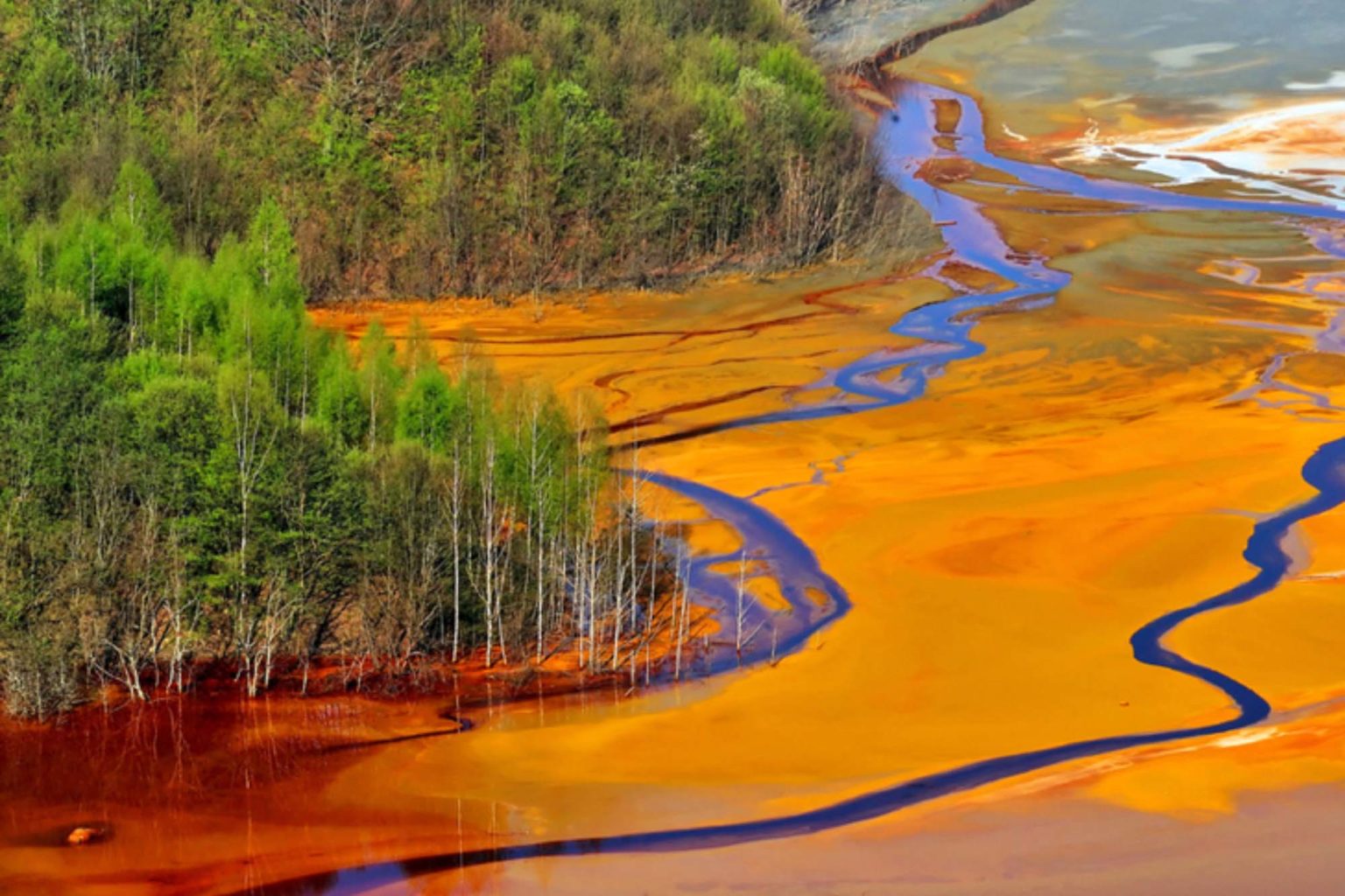 What is the environmental impact of bright clothing dyes? Thred site