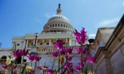 US Senate passes the nation’s first ever climate legislation