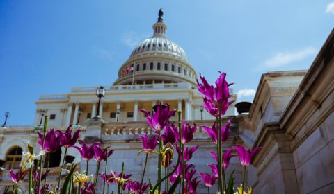 US Senate passes the nation’s first ever climate legislation