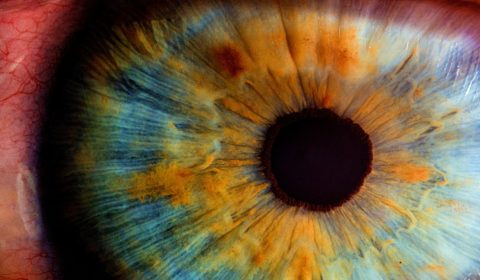 This eye implant could cure blindness for millions of people