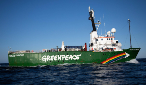 Greenpeace drops boulders in the ocean to prevent bottom trawling