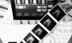 Experts believe sex for procreation could soon be obsolete