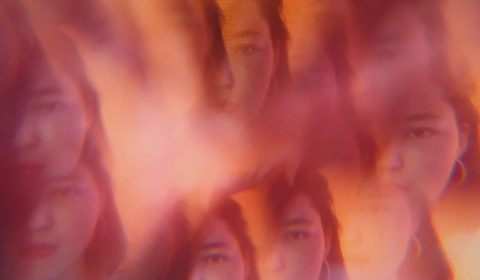 Misinformation about psychedelic therapy threatens its future