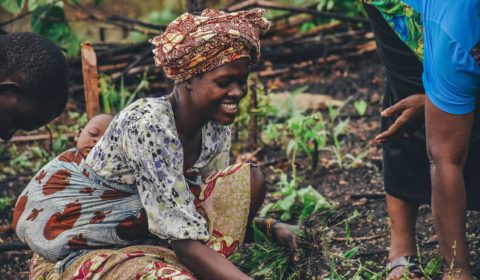 Sierra Leone gives citizens veto power over large-scale projects Sierra Leone gives citizens veto power over large-scale projects