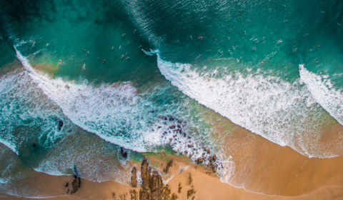 Researchers say global oceans need legal protective rights