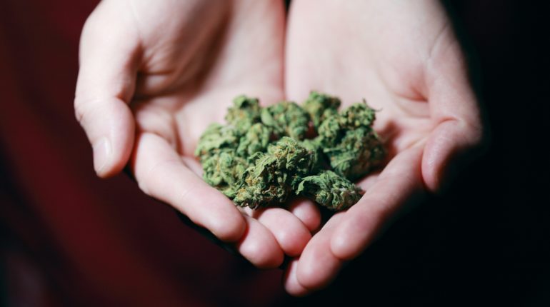 Biden pardons all federal offences of simple marijuana possession