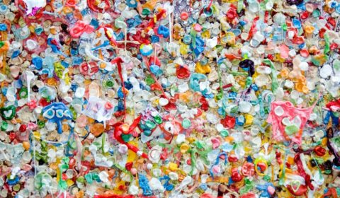 Greenpeace report shows failure of single-use plastic recycling Greenpeace report shows failure of single-use plastic recycling