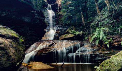 Legal rights must be afforded to the natural world says experts Legal rights must be afforded to the natural world says experts