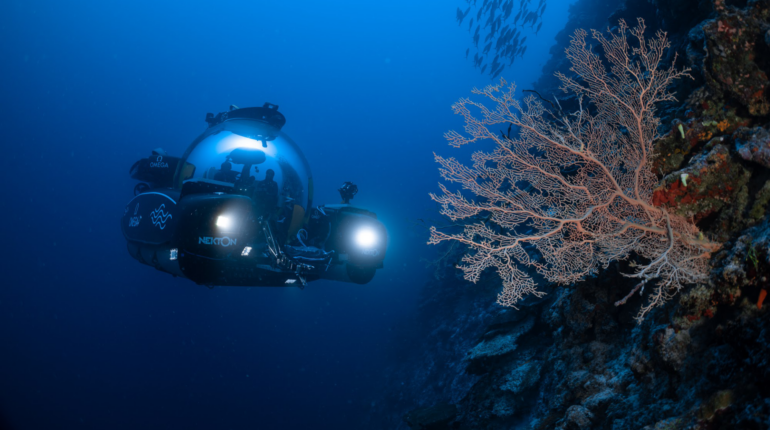 Scientists have discovered a new ecosystem in the Indian Ocean