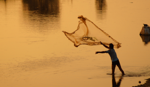 Marine biologists are optimising fishing practices in Europe