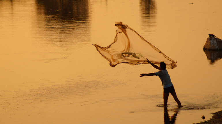 Marine biologists are optimising fishing practices in Europe