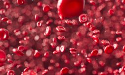 Lab-grown blood cells administered to humans for the first time