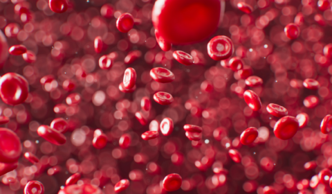 Lab-grown blood cells administered to humans for the first time Lab-grown blood cells administered to humans for the first time