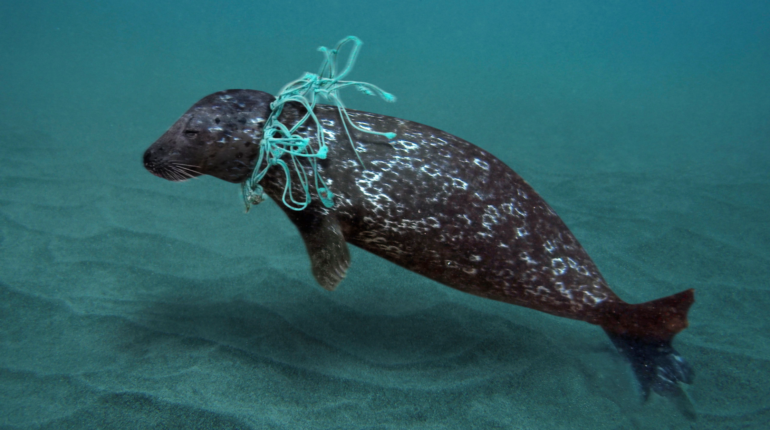 How major oil firms will try to block the world’s first plastic pollution treaty