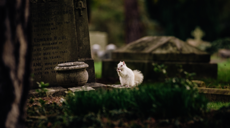 UK authorities want to reuse graves as burial space diminishes