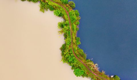 Delegates at COP15 reach ‘historic’ deal to halt biodiversity loss Delegates at COP15 reach ‘historic’ deal to halt biodiversity loss
