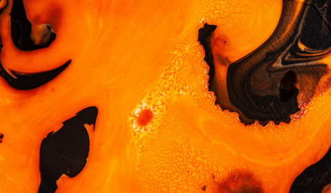 Scientists believe live bacteria could be eating ocean plastic